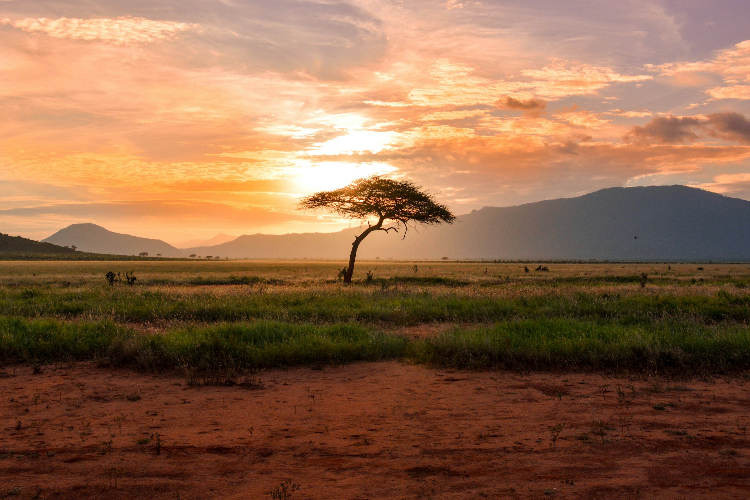 Safari sunset in South Africa — booked by Wander by Wilson