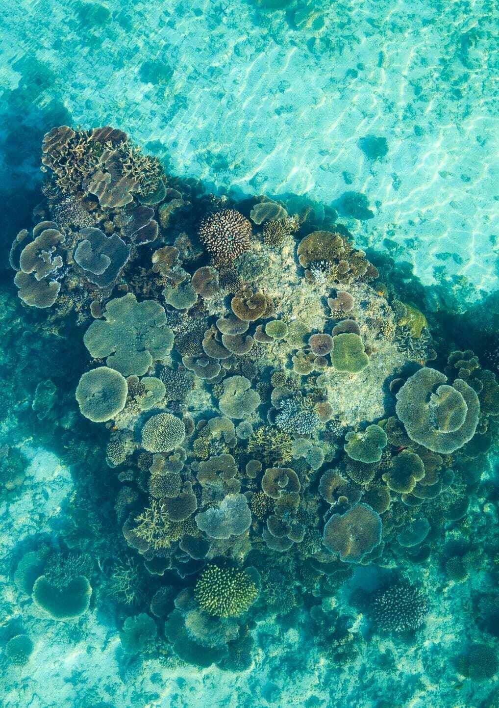 Kokomo Private Island Fiji